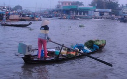 Thương lắm chiếc ghe nghèo!