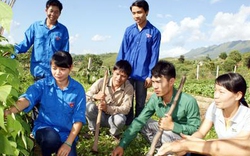 Hỗ trợ trí thức trẻ tình nguyện về nông thôn, miền núi