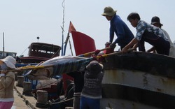 Nâng đẳng cấp  cho cá ngừ Việt Nam