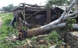Quảng Ninh: Mưa lốc, hàng loạt nhà bị sập, tốc mái