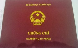 Ngừng cấp chứng chỉ nghiệp vụ sư phạm