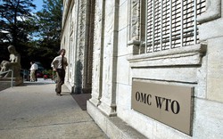 Mỹ lợi dụng WTO để kiểm soát Nga và NATO?