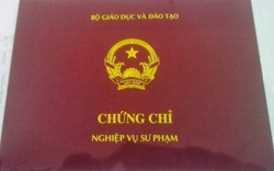 Vì sao tạm dừng cấp chứng chỉ nghiệp vụ Sư phạm?