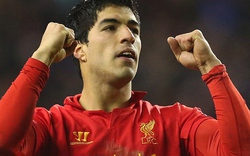 Luis Suarez quyết trung thành với Liverpool