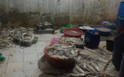 Chợ Long Biên: Mực thối &#34;tắm&#34; hóa chất, thành đồ tươi sống 