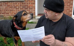 Kỳ lạ: Chú chó được mời đi bầu cử Quốc hội châu Âu
