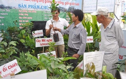 Hà Nội: Tổ chức Hội chợ giống, vật tư, thiết bị nông nghiệp 