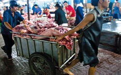 Thị trường thịt: Thử truy xuất nguồn gốc xuất xứ