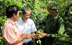 Hội nông dân Sơn La: Bám sát quyền lợi của hội viên 