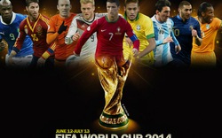 VTV sẽ mua được bản quyền World Cup 2014 với giá thấp