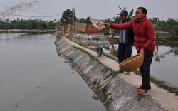 Làng tỷ phú từ nuôi cá