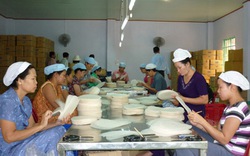 Hỗ trợ phát triển làng nghề bánh tráng 