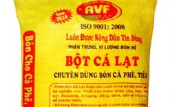 Vai trò phân hữu cơ trong canh tác nông nghiệp Việt Nam 