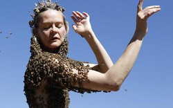 Cận cảnh người phụ nữ cho đàn ong bu kín ngực trần 