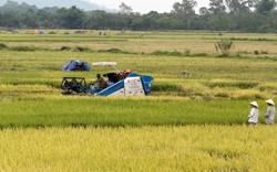 Ông “khuyến công”