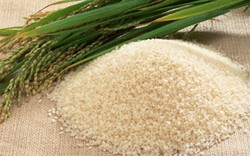 Việt Nam giành hợp đồng bán 800.000 tấn gạo cho Philippines