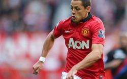 Tottenham quyết “đánh cắp” Chicharito khỏi tay M.U