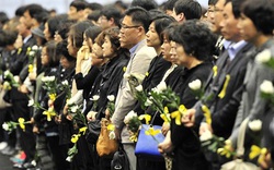 Phát hiện thêm 8 thi thể trong chiếc phà chìm Sewol