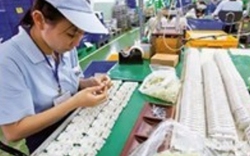 FDI năm 2014 sẽ không giảm nhiều 