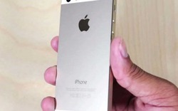 Nên mua iPhone 5s luôn hay chờ iPhone 6?