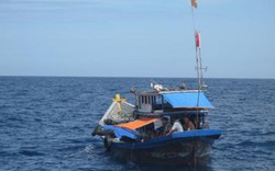 Quảng Ngãi: Cứu 12 ngư dân bị nạn trên biển
