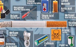 Trong thuốc lá có cả chất diệt chuột?