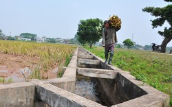 Dấu ấn sau 3 năm xây dựng nông thôn mới: Ngăn chặn  bệnh thành tích 