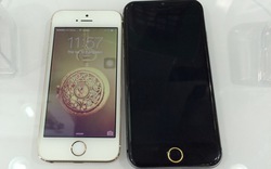 iPhone 6 dạng mô hình xuất hiện ở Hà Nội