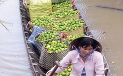 Trời nóng làm sốt giá chanh