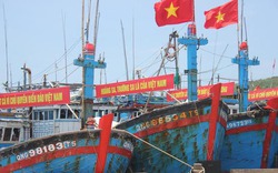 Ngư dân sẵn sàng ra tận giàn khoan Trung Quốc để phản đối