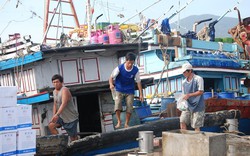 Đà Nẵng: Tàu Cảnh sát biển sẽ bảo vệ ngư dân mít-tinh trên biển