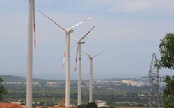 Khởi công nhà máy điện gió tại Ninh Thuận