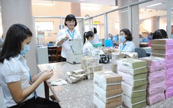 Khánh Hòa: Cho vay ngư nghiệp đạt gần 2.500 tỷ đồng