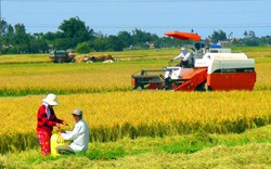 Quảng Ngãi: Gần 4.200 tỷ đồng cho vay nông nghiệp, nông thôn