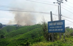 Đã khống chế đám cháy rừng lớn ở Thanh Hóa