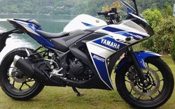 Yamaha R25 thiết kế đẹp, giá 98 triệu đồng