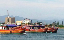 Quảng Bình: Nhiều tàu cá bị rượt đuổi