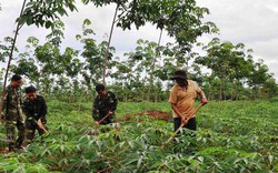 “Đất hứa” bên dòng Pô Kô