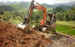 Quảng Ngãi: Làm cánh đồng mẫu cho cây mía