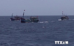 Báo quốc tế nhìn nhận thế nào khi tàu Trung Quốc đâm chìm tàu cá Việt Nam?
