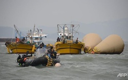  Thêm thợ lặn Hàn Quốc tử nạn khi tìm xác nạn nhân phà Sewol 