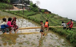 Cầu bập bênh