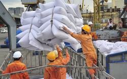 Xuất khẩu gạo sang Philipppines: Sẽ nới thời gian giao   hàng 