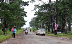 Loại 2 nhà thầu thi công đường Hồ Chí Minh