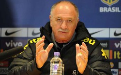 HLV Scolari nhận định cơ hội vô địch World Cup của Brazil