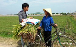 Thanh Hóa: Thu hồi sai  hàng chục ha đất lúa