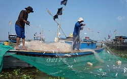 Tập trung phát triển mạnh nghiệp đoàn nghề cá 