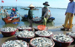 Thêm vốn, thêm việc làm