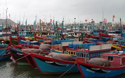Đà Nẵng: Tặng ngư dân 3 tỷ đồng 