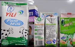 Sữa Trung Quốc &#34;bật bãi&#34; khỏi thị trường Việt thế nào?